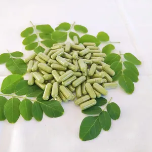 moringa dry leaf powder capsules used as herbal supplement for adults rich in vitamins and minerals