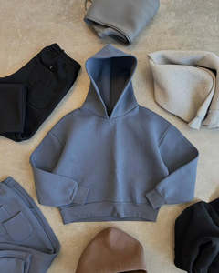 Vente en gros de haute qualité 100% coton couleur unie coupe régulière sans piqûre brodé perlé pull à capuche pour unisexe automne - Product Image 3