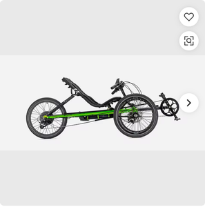 VENTAS EN SUBASTA Ter-raT-ri-keee Charge eTrike - Product Image 1
