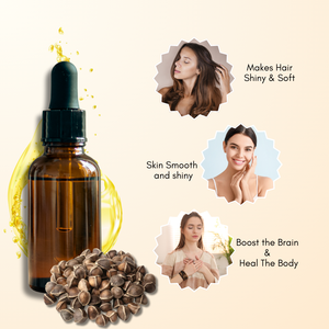 Aceite Esencial de Semilla de Moringa 100% Puro y Natural de Alta Calidad, Destilación al Vapor, Forma Líquida, Certificado GMP, Logotipo Personalizado, Marca Privada - Product Image 1