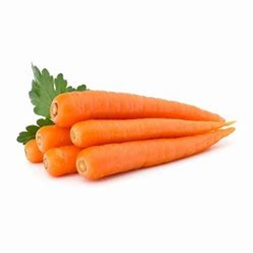 Готов поставлять свежую морковь со сладким вкусом по оптовым ценам