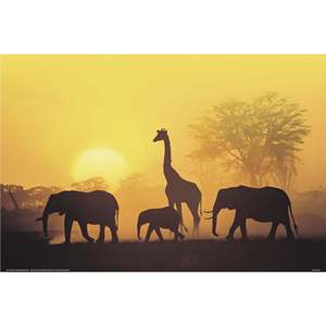 Affiche de style moderne 'Coucher de soleil au Kenya' pour décoration murale - Product Image 1