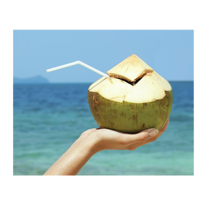 Ben Tre Noix de coco fraîches biologiques prêtes à l'exportation Matures et délicieuses avec coque nutritive - Product Image 5