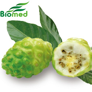 Noni Fruit Extract Powder Dietary Supplement Plant Based Wellness Ingredient OEM - Product Image 2
