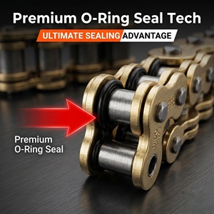 JFG Catena <span class=keywords><strong>Moto</strong></span> O-Ring 520HV 120L Ad Alte Prestazioni Resistente Dorata Ricambi Trasmissione Universale per <span class=keywords><strong>Moto</strong></span> da Cross - Product Image 3