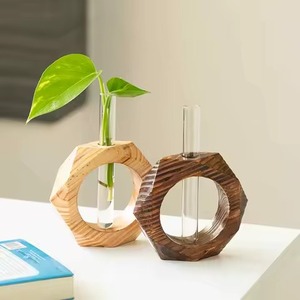 Maceta/Jarrón Moderno de Vidrio y Hierro con Diseño Único de Tubo de Ensayo y Orificio de Drenaje para Uso Doméstico - Product Image 2