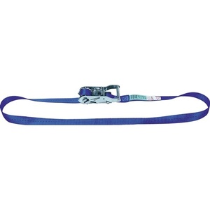 Sangle d'arrimage DIN EN 12195-2 pour sacs et fixations de ski, longueur 5m, largeur 25mm, à cliquet avec LC U 1000 DaN DOLEZYCH - Product Image 1