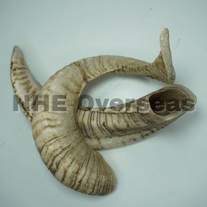 Corne de bélier naturelle de qualité supérieure mâche pour chiens longue durée santé dentaire traiter Durable dur mâcher pour les races agressives expédition rapide!! - Product Image 4