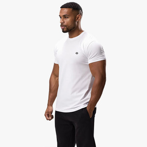 Nouveauté T-shirts décontractés grande taille pour hommes, coupe ajustée, logo personnalisé, coupe musclée, léger, col rond, vente en gros de jersey Hip Hop long - Product Image 1