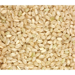 Arroz Jazmín Vietnamita Orgánico de Grano Corto de Alta Calidad, 5% de Grano Partido, Textura Firme, 24 Meses de Vida Útil, Precio al por Mayor Bajo - Product Image 4