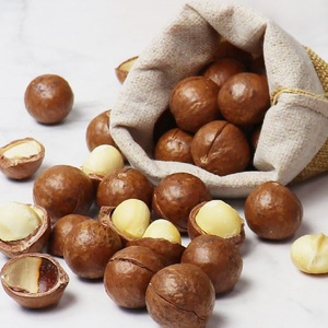 Vente chaude Grande Taille Noix De Macadamia De La Chine Exportateur Noix De Macadamia Norme Internationale Goût Délicieux - Product Image 3