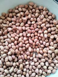 TJ Premium Quality <b>Peanuts</b> 100 Percent Natural Fresh Superior Flavor Crunchy Snacking Roasting Bulk Wholesale India 50 - Product Image 3