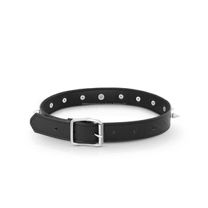 ปลอกคอ BDSM สีดำทำจากไทเทเนียมและสแตนเลสสตีล ประดับหนามพร้อมห่วงโอริง ขนาดรอบคอ 14 ถึง 18 นิ้ว คุณภาพสูงสำหรับการพันธนาการแบบถาวร - Product Image 3