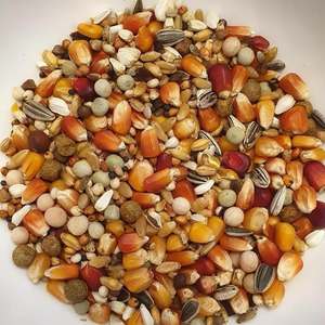 Mélange de Grains Premium pour Nourriture d'Oiseaux |   Fournisseur d'aliments pour pigeons pour les fermes, les distributeurs et les détaillants - Product Image 4