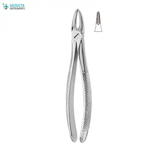 Extracting Forceps English Pattern Fig. 29 Upper Incisors and Roots - Dental Instruments