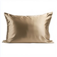 Conception personnalisée OEM 16-22 Momme 6A Grade taie d'oreiller en satin de soie turque brodée vierge feuilles élégantes impression 100% soie OEKO-TEX