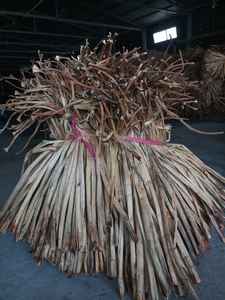 Precio competitivo, jacinto de agua seca cruda natural en nueva cosecha 2025 con calidad superior de 99GD - Product Image 3