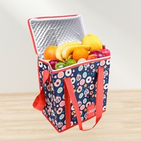Sac Isotherme Portable OEM/ODM pour Repas Chauds, Grande Capacité, Écologique, Réutilisable, en Tissu Non-Tissé, Logo Personnalisé
