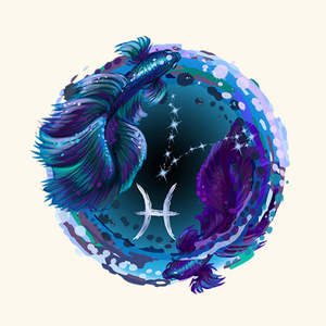 Huile corporelle zodiacale Poissons, mélange de qualité thérapeutique, Géranium et Racine d'olivier, pour hydrater, éclaircir, raffermir et nourrir - Product Image 1