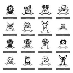 Cuadro Decorativo de una Raza de Perro en MDF - Product Image 3