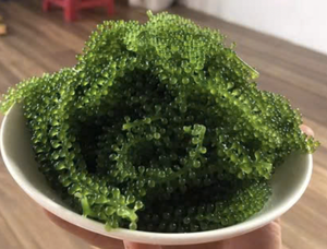 Algas de Mar de Vietnam (Caulerpa Lentillifera) para Ensaladas, Sushi, Ingredientes de Comida Fresca, Uso en Restaurantes y Cafés - Product Image 4