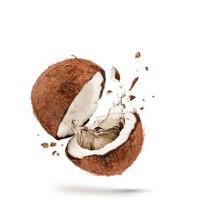 Exportaciones vietnamitas de coco seco - Product Image 3