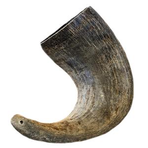 Handmade Natural Sheep Chewing Horn for Dogs Wholesale <b>Water</b> Sheep Chewing Horn for Dogs with High <b>Proteins</b> - Product Image 1