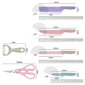 Set di 6 Coltelli da Chef Evryealth in Acciaio al Carbonio Pastello con Logo Personalizzato Inciso al Laser e Manico in Resina Cavo per Cucina e Ristoranti - Product Image 6