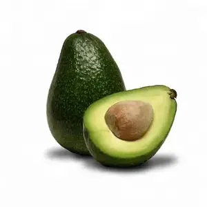 Avocado 100% Natuurlijke Snelle Levering Viettropisch Fruit Voor Export Ons Haccp Kartonnen Doos Vietnamese Fabrikant