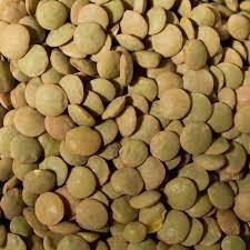 Lentilles vertes séchées, paquet de 25 kg, provenance Belgique - Product Image 4