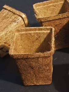 Pots en fibre de coco naturelle 100% Pots en fibre de coco durables Pots en fibre de coco biodégradables pour pépinière d'arbres - Product Image 4