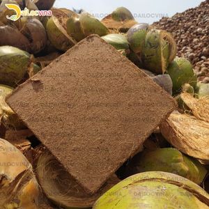 <span class=keywords><strong>CoCo</strong></span> than bùn 5 kg khối than bùn <span class=keywords><strong>Coco</strong></span> cho Chất nền nấm mở rộng để 75L - Product Image 1
