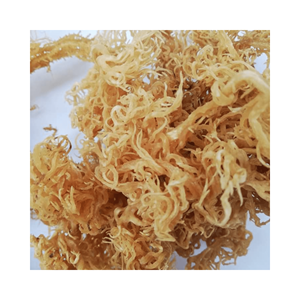 Mousse de mer d'Irlande séchée au soleil Eucheuma Cottonii algues Eucheuma Spinosum vente en gros meilleur prix du Vietnam de haute qualité - Product Image 6