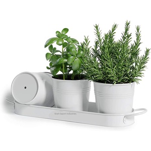 Dernier plateau de jardinière en métal avec 3 pots d'herbes ronds avec plateau pour pot de fleur intérieur et extérieur pour la maison et le jardin - Product Image 1