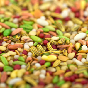 Especias Mixtas Premium de Rosa y Cardamomo Indio Seco, 1 kg, 100% Puro, Orgánico USDA, para Exportación, Nuevo - Product Image 4