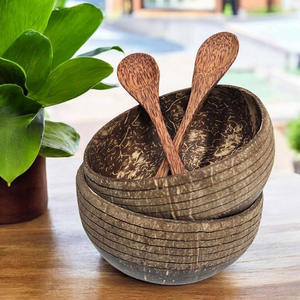 Cuenco de cáscara de coco de proveedor superior de Vietnam cuencos de palma de coco orgánicos ecológicos con juego de cucharas de ébano - Product Image 2