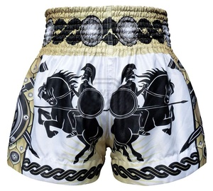 Shorts de Muay Thai pour match de MMA, kickboxing, boxe thaïlandaise, entraînement d'arts martiaux, séchage rapide, respirant, shorts de sublimation - Product Image 2