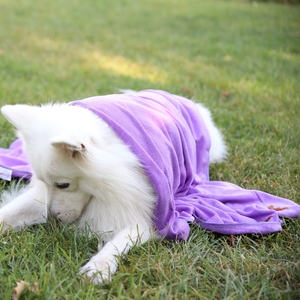 Serviette de toilettage pour animaux de compagnie en microfibre super absorbante Serviette de séchage douce pour chien pour grand et petit chien pour la salle de bain - Product Image 2