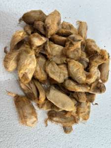 Cocons de soie de mûrier biologique, soie naturelle de qualité, matière première, fabrication artisanale durable, fil recyclé de luxe, filature en vrac - Product Image 5