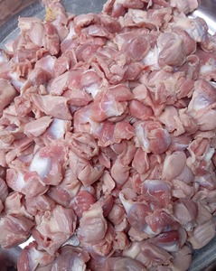 Pollo Congelado / Gizzards / Muslos para Exportaciones a Granel - Product Image 1