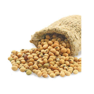 <b>soybeans</b> for sale with consistent quality suitable for multiple industrial applications - Product Image 1