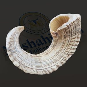 Golosinas para masticar de cuerno de carnero natural de primera calidad para perros-Artesanía de estilo animal pulido más vendida por Nhe Overseas - Product Image 1