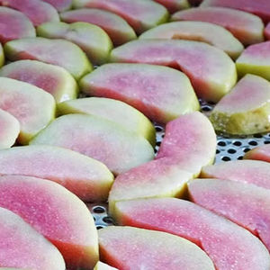 FRUITS CRISPY SNACK-GOYAVE SÉCHÉE!! FRUITS TROPICAUX CHAUDS AU VIETNAM/PRATIQUE POUR PORTER VOTRE PIQUE-NIQUE - Product Image 5