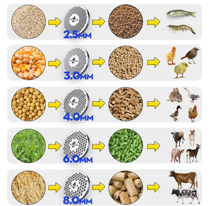 Pequeña Máquina <span class=keywords><strong>Peletizadora</strong></span> de Alimentos para Animales de 220V para Producción de Alimentos para Aves de Corral, Pollos, Peces, de Alta Capacidad - Product Image 5