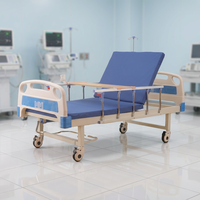 Cama de Hospital Manual de Dos Manivelas con Respaldo Ajustable y Barandillas Laterales de Acero Resistentes para Uso Diario en Salas de Hospitalización