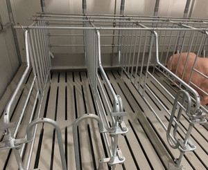 Sản Phẩm Hot Mang Thai Thùng Cho Lợn Nhà Gieo Lồng Chất Lượng Cao Lợn Trang Trại Thiết Bị Cho Bán - Product Image 4