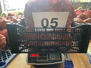 Tươi Rửa Cũ Vàng Gừng Chất Lượng Cao Kích Thước Lớn 200G Cho Chúng Tôi, Trung Đông Thị Trường Mới Thu Hoạch Bán Buôn Từ Việt Nam Nhà Máy - Product Image 3