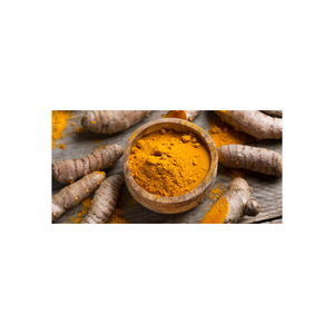 Curcuma séché et curcuma frais (curcuma), Produit naturel 100% de Thaïlande de première qualité biologique - Product Image 4