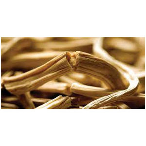 รากชาตาวารีสดธรรมชาติ 100% แอสพาราจัส ราเซโมซัส เฮอร์โบจิต อินเตอร์เนชั่นแนล บรรจุภัณฑ์ 25 กิโลกรัม ผลิตในอินเดีย อายุการเก็บรักษา 18 เดือน - Product Image 2