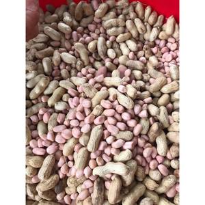 Nueces de cacahuetes secos nutritivos de Vietnam para exportación con precios competitivos para compradores mayoristas - Product Image 5